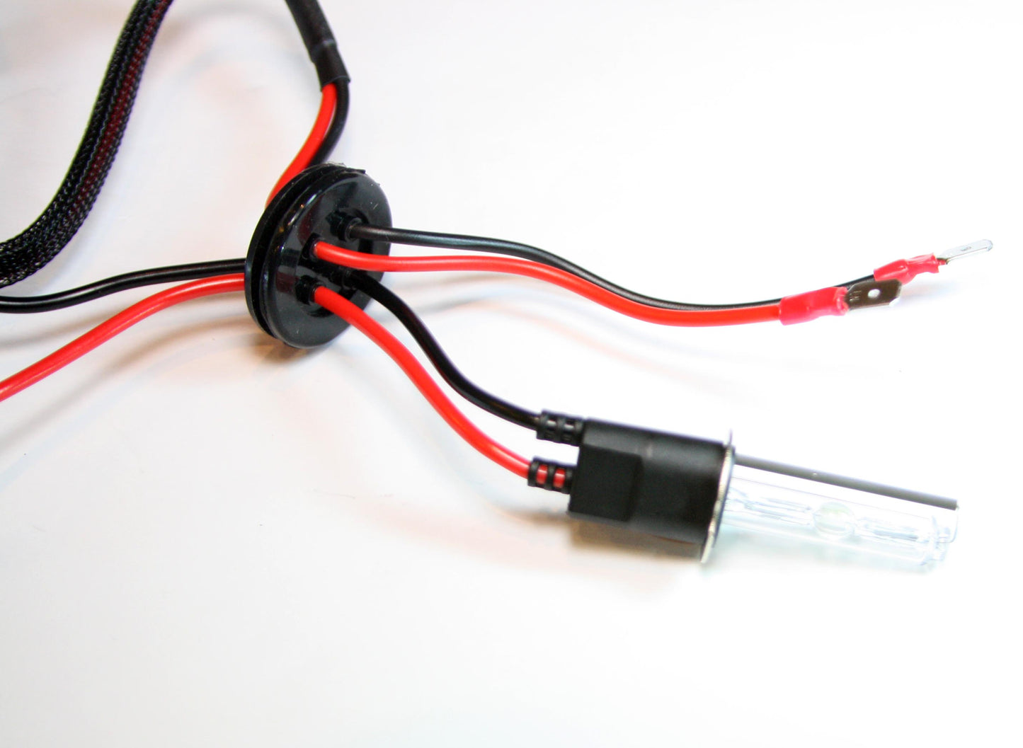 Pair 880 HID Bulbs