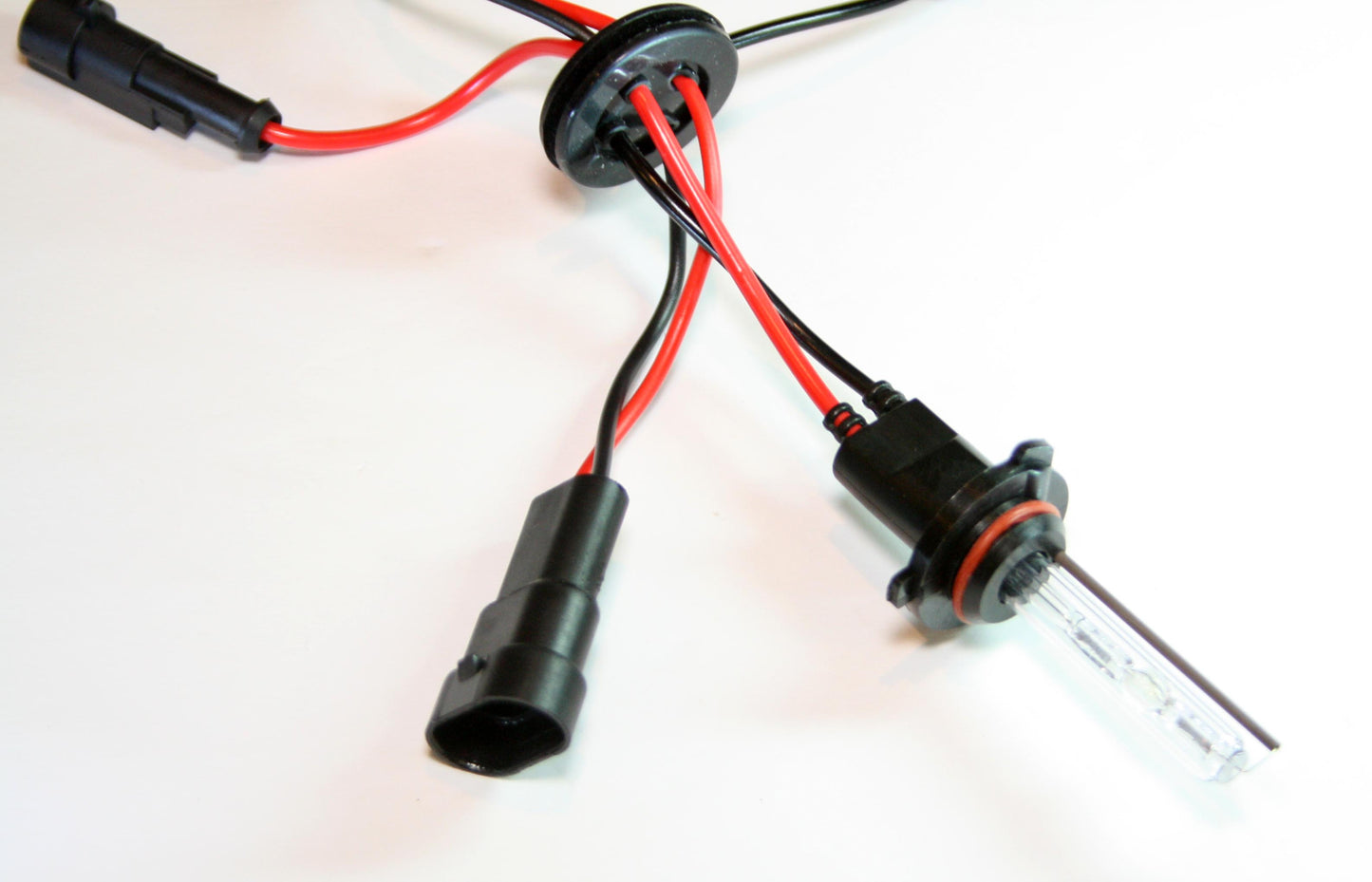 Paire d'ampoules H10 HID