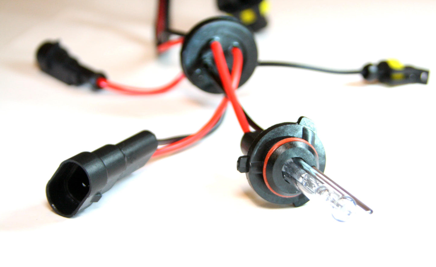 Paire d'ampoules H10 HID