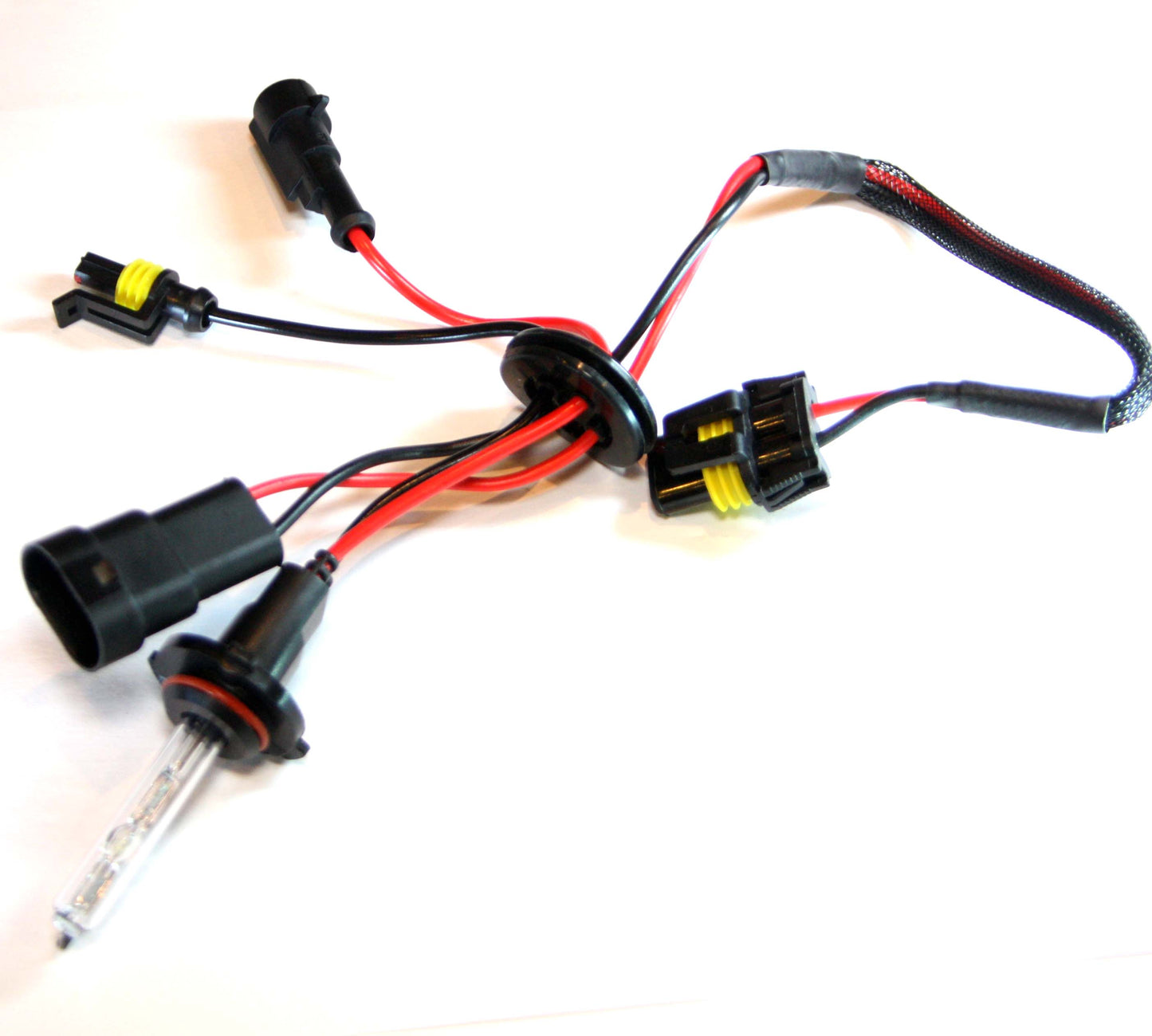 Paire d'ampoules H10 HID