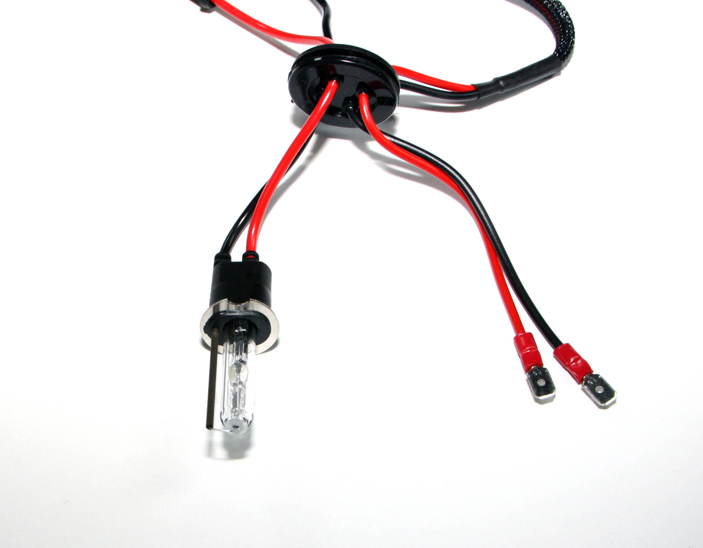 Paire d'ampoules de rechange H1 HID