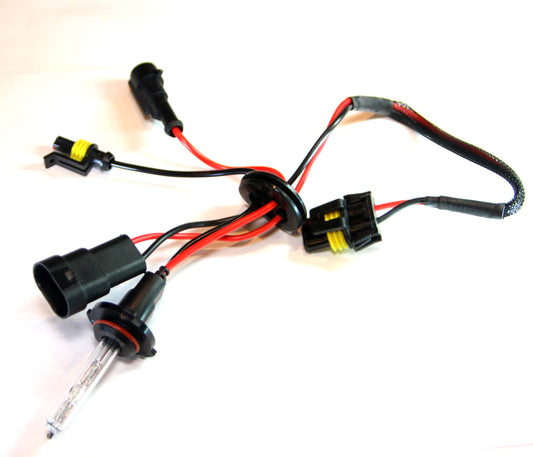 Paire d'ampoules HID 9005 alias H10