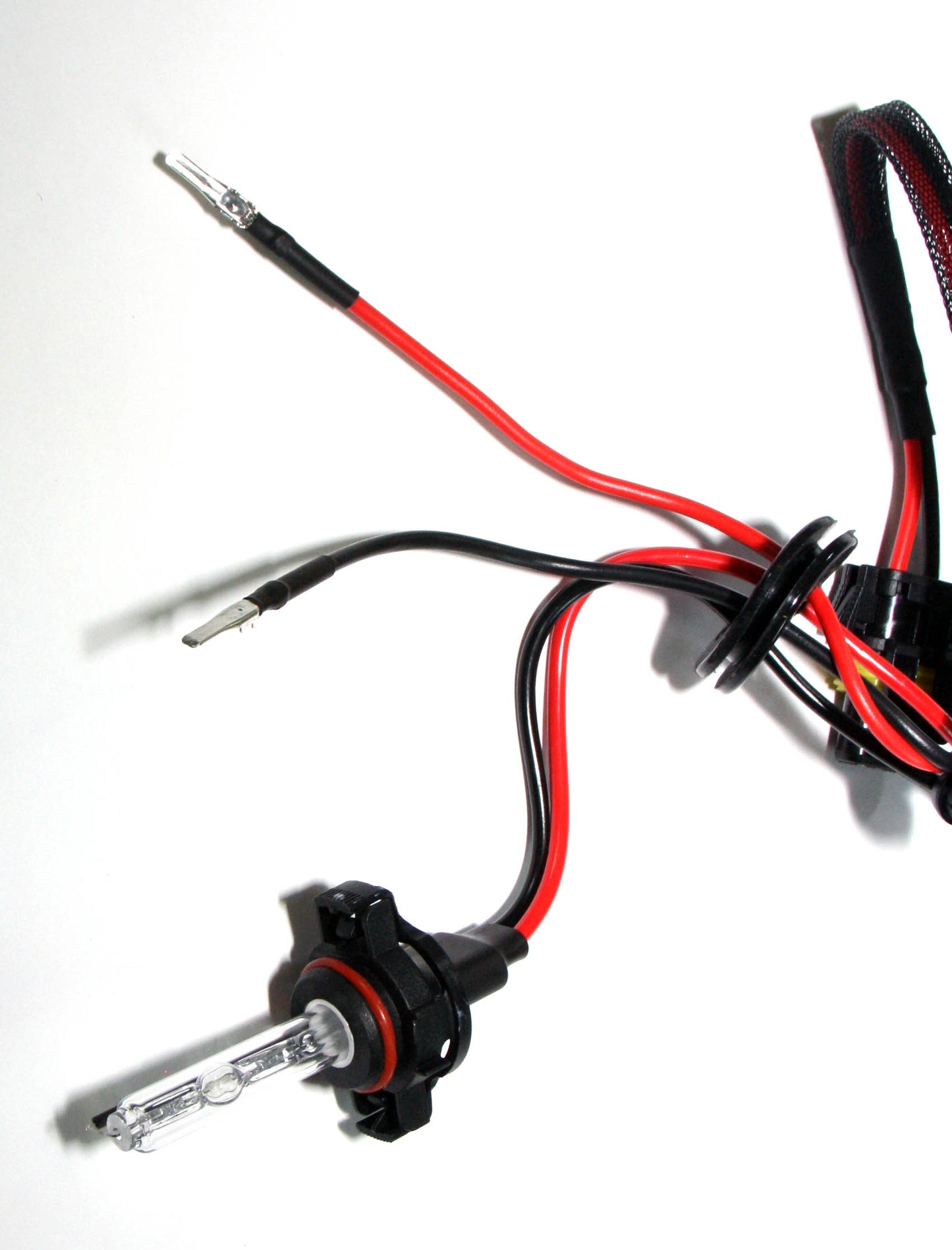 Ampoules de rechange HID 5202 (paire)